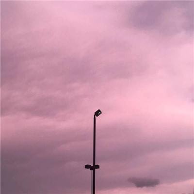 金沙官方版下载截图