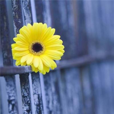 宝威体育官网app下载