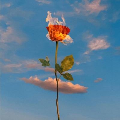 足球竞彩app下载手机版