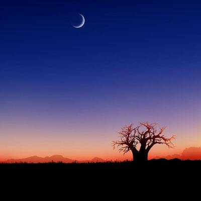 万博最新ManBetX网页版登录