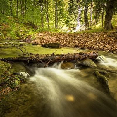 金沙官方版下载