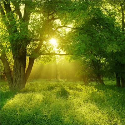 乐发app下载安装